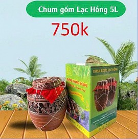 Rượu đòng đòng - Chum gốm Lạc Hồng